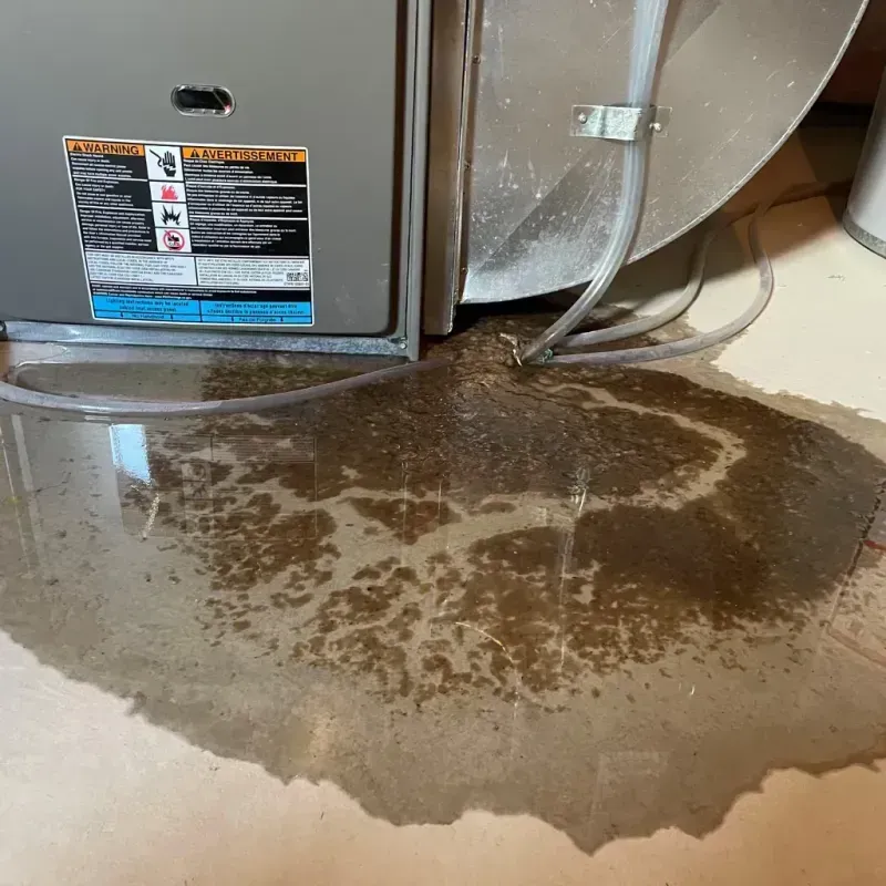 Appliance Leak Cleanup in Paintsville, KY